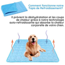 Charger l'image dans la galerie, Un golden retriever assis joyeusement sur un tapis rafraîchissant bleu – conçu pour absorber la chaleur du corps et éviter les coups de chaud.