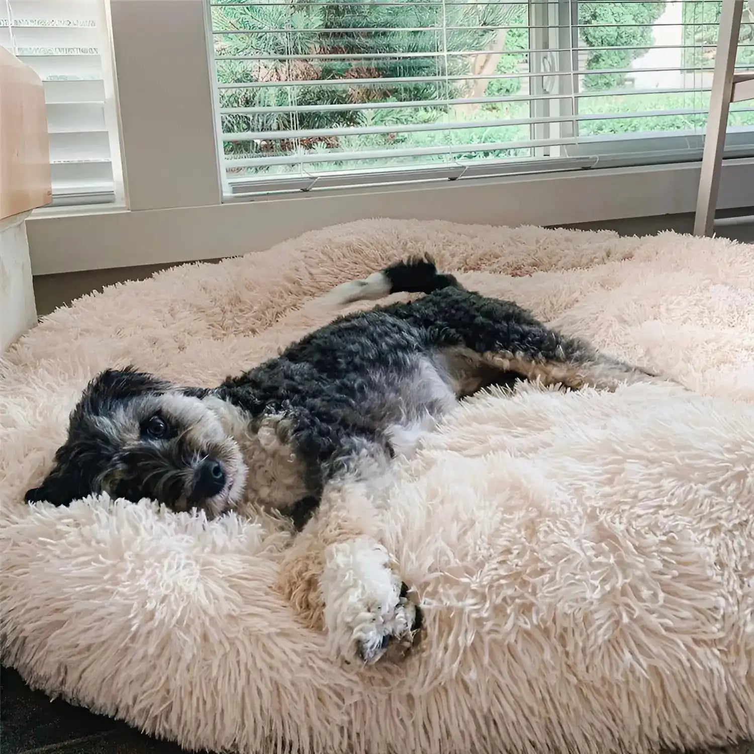 MrFluffyFriend™ - Coussin Anti-Stress Pour Chien