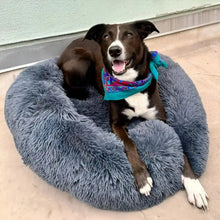 Charger l'image dans la galerie, MrFluffyFriend® - Coussin Anti-Stress Pour Chien