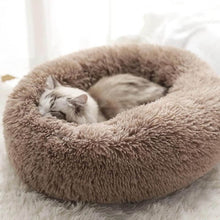 Charger l'image dans la galerie, MrFluffyFriend® - Coussin Anti-Stress Pour Chat