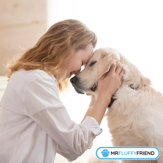 Une femme touche doucement le front d’un golden retriever, les yeux fermés, exprimant un lien profond et une grande sérénité.