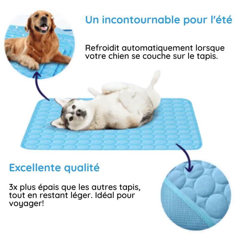 MrFluffyFriend™ - Tapis Refroidissant Ultime pour les Animaux