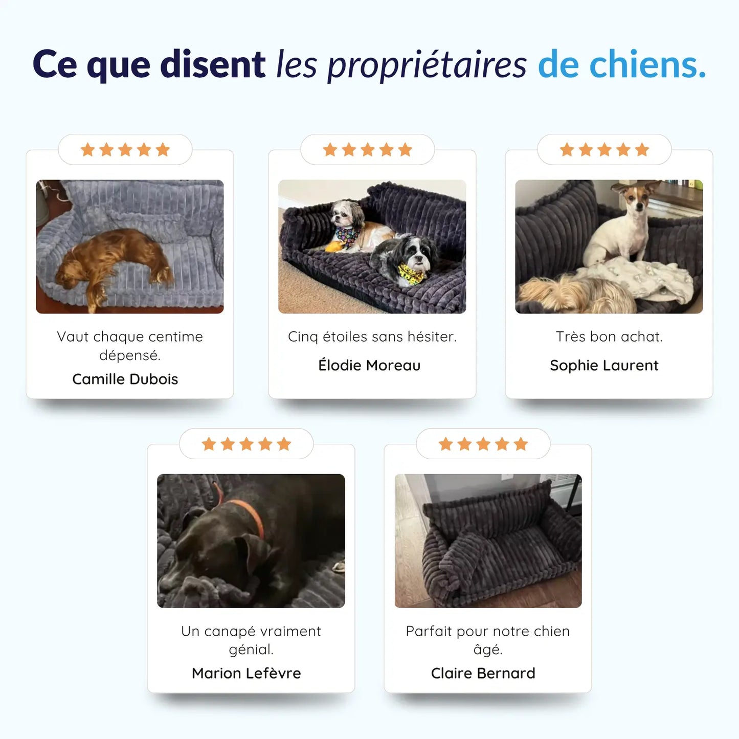 MrFluffyFriend® - Canapé Design Pour Chien