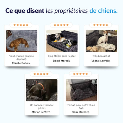 MrFluffyFriend® - Canapé Design Pour Chien