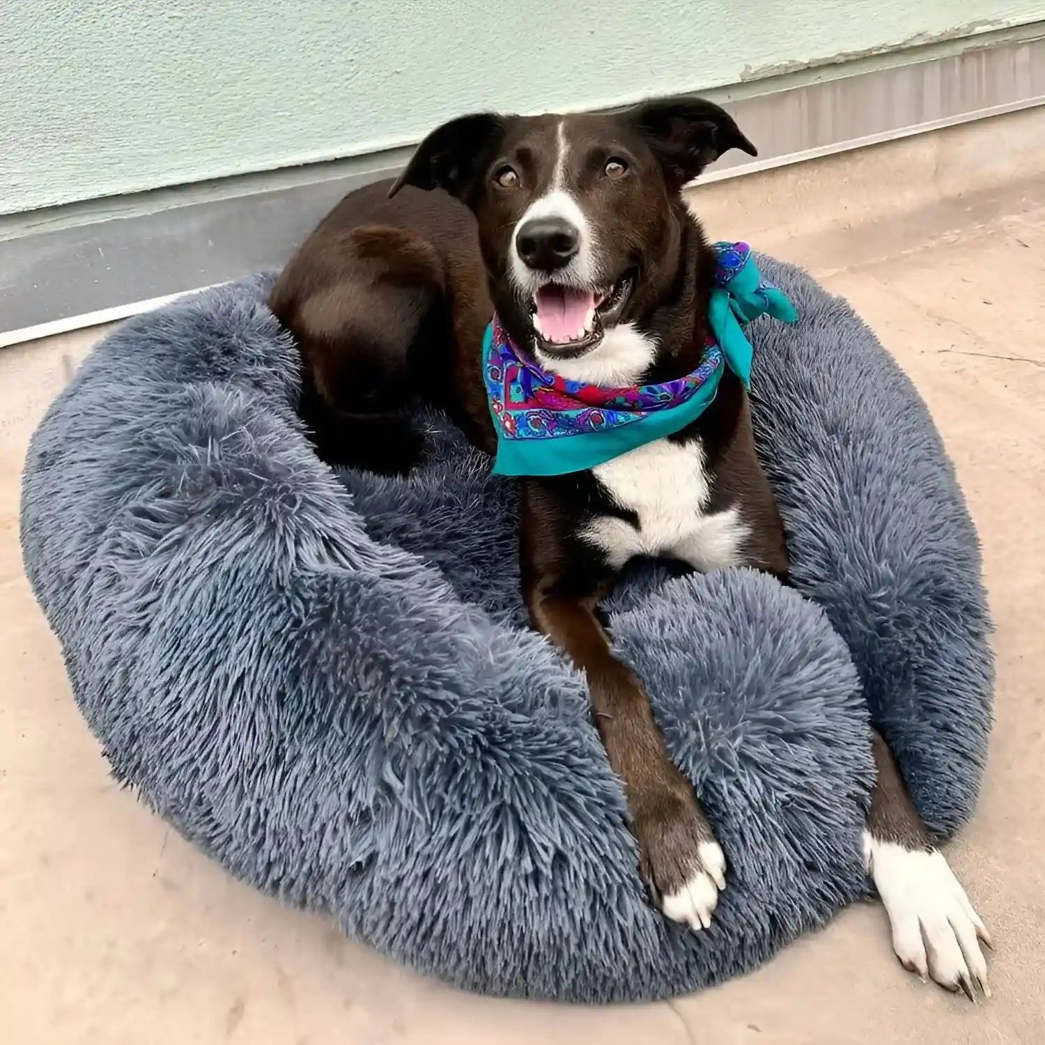 MrFluffyFriend™ - Coussin Anti-Stress Pour Chien