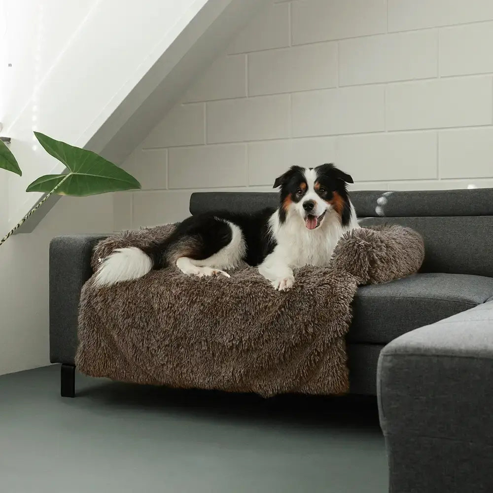 MrFluffyFriend - La Meilleure Housse De Canapé Pour Chiens