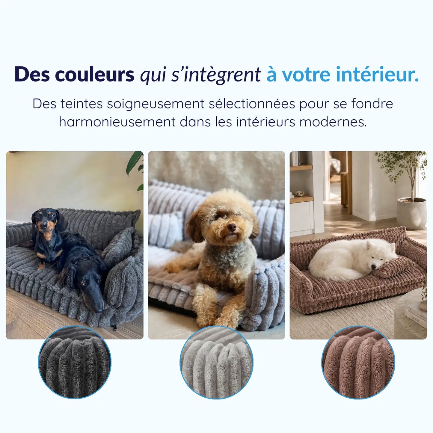 MrFluffyFriend® - Canapé Design Pour Chien